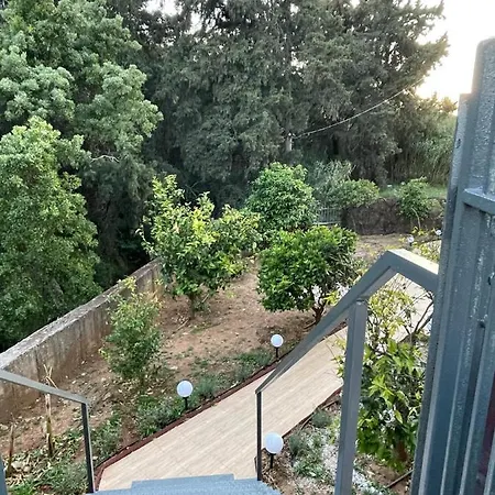 Zebrano In Kallithea Rhodes *