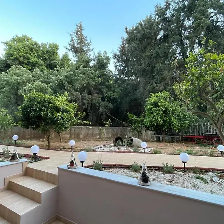 Zebrano In Kallithea Rhodes